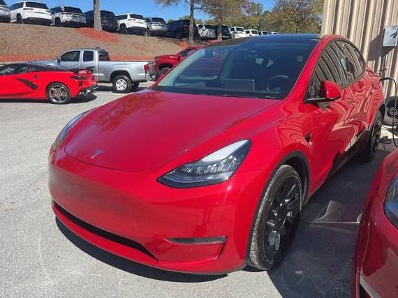 TESLA MODEL Y 2021 5YJYGDEE1MF092530 image